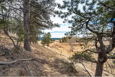 244 High Pasture Road, Florissant, CO 80816 - Photo 5