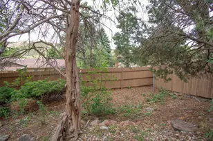 3007 Chelton Dr, Colorado Springs, CO 80909 - Photo 37