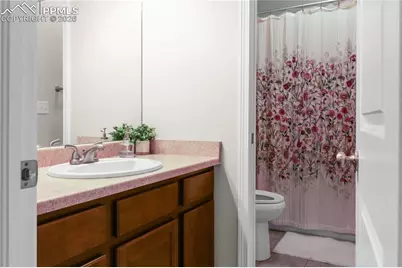 17529 Old Cherokee Trail, Colorado Springs, CO 80921 - Photo 19