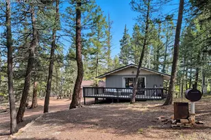 112 Denwood Dr, Florissant, CO 80816 - Photo 15