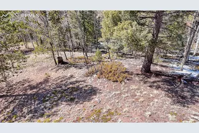 542 Vivenda Road, Cripple Creek, CO 80813 - Photo 21