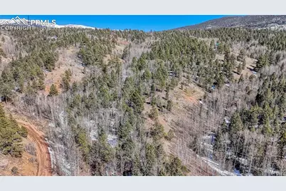 542 Vivenda Road, Cripple Creek, CO 80813 - Photo 9