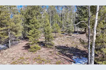 542 Vivenda Road, Cripple Creek, CO 80813 - Photo 3