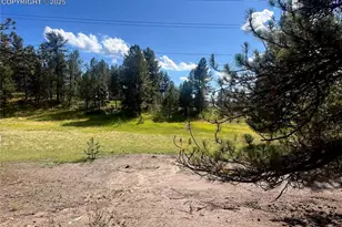 240 N Mountain Estates Rd, Florissant, CO 80816 - Photo 43