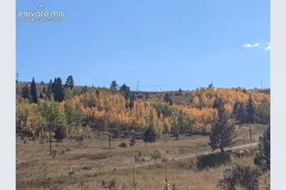 2272 County Road 1, Cripple Creek, CO 80813 - Photo 17