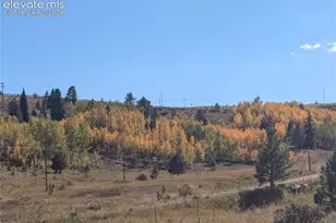 2272 County Rd 1, Cripple Creek, CO 80813 - Photo 15