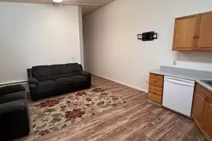 217 W Masonic Ave, Cripple Creek, CO 80813 - Photo 23