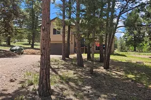 24 Bighorn Cir, Florissant, CO 80816 - Photo 1