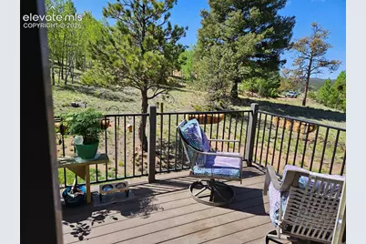 24 Big Horn Circle, Florissant, CO 80816 - Photo 19