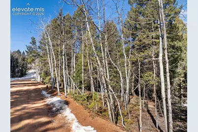 810 Ridge Road, Divide, CO 80814 - Photo 13