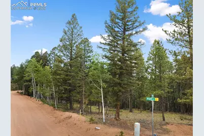 810 Ridge Road, Divide, CO 80814 - Photo 11