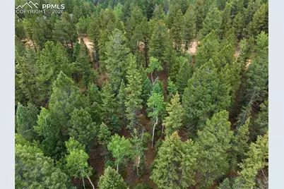 810 Ridge Road, Divide, CO 80814 - Photo 31