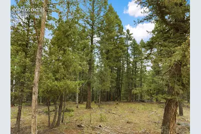 810 Ridge Road, Divide, CO 80814 - Photo 5