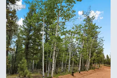 810 Ridge Road, Divide, CO 80814 - Photo 17