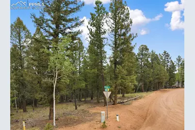 810 Ridge Road, Divide, CO 80814 - Photo 7