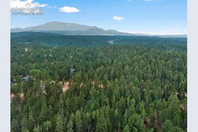 810 Ridge Road, Divide, CO 80814 - Photo 23