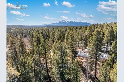 810 Ridge Road, Divide, CO 80814 - Photo 19