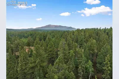 810 Ridge Road, Divide, CO 80814 - Photo 29