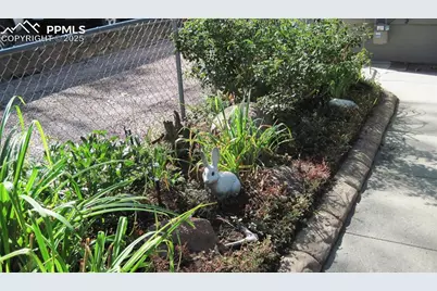 1015 E Moreno Avenue, Colorado Springs, CO 80903 - Photo 5