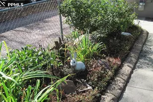 1015 E Moreno Ave, Colorado Springs, CO 80903 - Photo 5