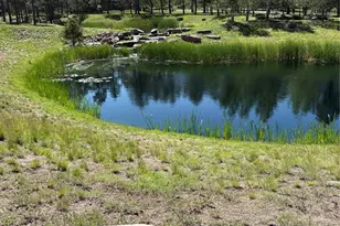 5070 Vessey Rd, Colorado Springs, CO 80908 - Photo 37