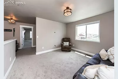 1118 Seabiscuit Drive, Colorado Springs, CO 80921 - Photo 41