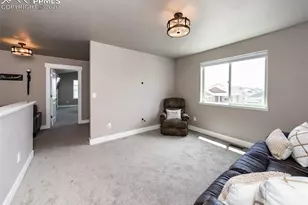 1118 Seabiscuit Dr, Colorado Springs, CO 80921 - Photo 41