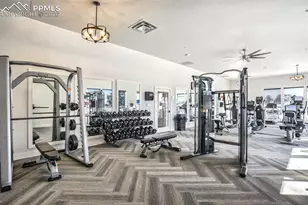 1265 Foothills Farm Way, Colorado Springs, CO 80921 - Photo 47