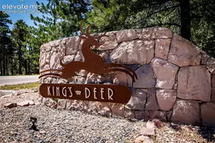 890 E Kings Deer Point, Monument, CO 80132 - Photo 45
