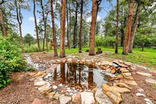 19070 White Fawn Dr, Monument, CO 80132 - Photo 39