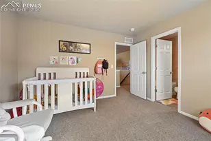 6646 Backcountry Loop, Colorado Springs, CO 80927 - Photo 25