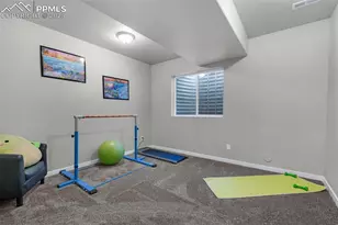 9755 Owl Perch Loop, Colorado Springs, CO 80908 - Photo 41