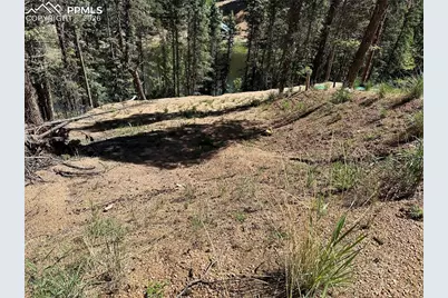 67 Gerka Lane, Florissant, CO 80816 - Photo 5