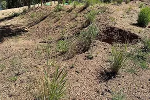 67 Gerka Ln, Florissant, CO 80816 - Photo 1