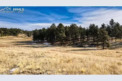 150 High Pasture Road, Florissant, CO 80816 - Photo 3