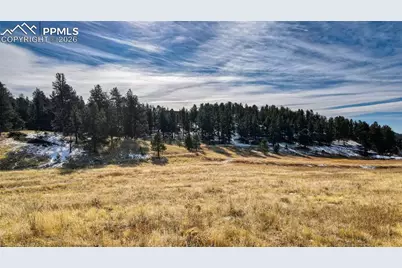 150 High Pasture Road, Florissant, CO 80816 - Photo 9