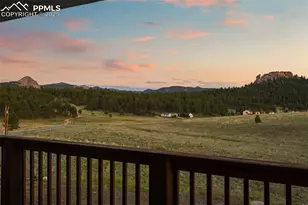 115 White Tail Ln, Florissant, CO 80816 - Photo 45