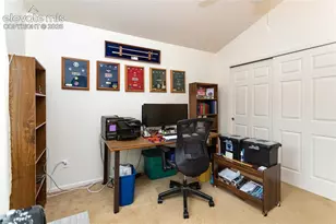 5414 Cushing Grove, Colorado Springs, CO 80924 - Photo 21