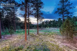 16152 Timber Meadow Dr, Colorado Springs, CO 80908 - Photo 39