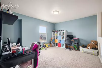 8317 Chasewood Loop, Colorado Springs, CO 80908 - Photo 5