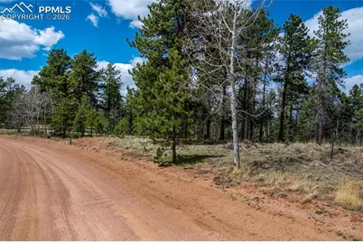451 Chipeta Creek Trail, Florissant, CO 80816 - Photo 9