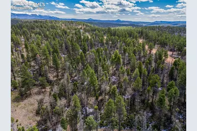 451 Chipeta Creek Trail, Florissant, CO 80816 - Photo 7
