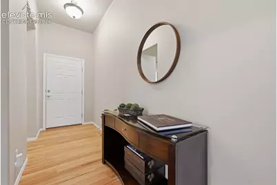 249 Homeland Court, Colorado Springs, CO 80921 - Photo 23