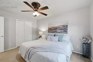 249 Homeland Ct, Colorado Springs, CO 80921 - Photo 21