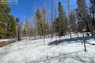 2202 High Creek Rd, Fairplay, CO 80440 - Photo 1