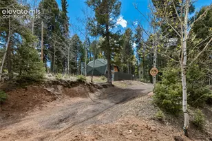 776 Jolly Rogue Dr, Divide, CO 80814 - Photo 31