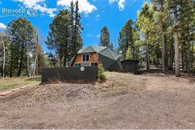 776 Jolly Rogue Drive, Divide, CO 80814 - Photo 3