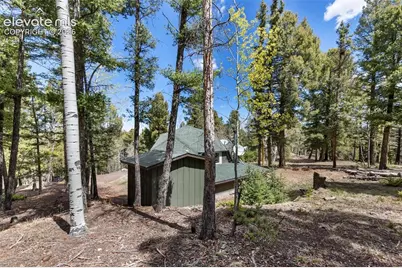 776 Jolly Rogue Drive, Divide, CO 80814 - Photo 7