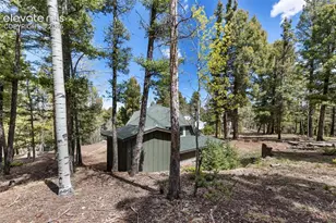 776 Jolly Rogue Dr, Divide, CO 80814 - Photo 7