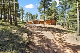 234 Wasatch Ln, Florissant, CO 80816 - Photo 5